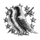 CruciorRepe