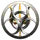 UNREAL Executor Corp