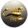 Crabs Academy