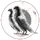 Peace War pigeon