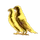 Zulf Zulf Zulf