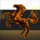 Black Hoof Dsease