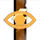 Thunder Eye Picasso