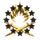 Stars and Flame