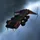 Flycatcher