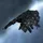 Drake Navy Issue