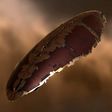 Ark