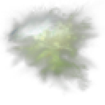 Malachite Cytoserocin