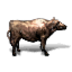 Group of Cattle