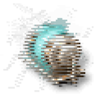 Warp Disruptor I