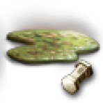 Biomass