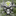 The Pestilent Legion