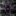 Brotherhood of the Shadow Alliance