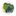 United Neopian Federation