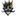Transgress