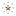 The Dragon Dynasty