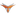The Vanguard Syndicate