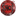 S.N.O.T.