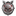 Black Rabbit.