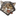 Ant Tiger