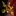 Arma Purgatorium