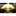 Summary Executions