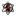 ScumLord Excavation and Evisceration