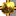 Rise Of Exiles