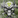 The Pestilent Legion