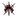 Keepers of the Flame