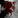 Dissident Aggressors