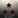 Future Corps