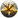 The 20th Legion