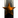 Konrakas Mining Conclave