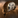 Sigil