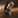 Tormentor