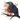 We Forsakened Few