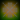 The Green Cross
