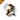 Multispectrum Coating II