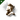 Shadow Serpentis Multispectrum Coating