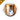 EM Shield Hardener II