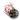 Focused Warp Disruption Script