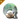 Scan Acquisition Array II