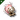 True Sansha Warp Disruption Field Generator