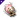 Nija's Modified Warp Disruption Field Generator