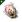 True Sansha Warp Disruption Field Generator