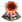 Supratidal Scoped Entropic Disintegrator