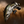 Zealot