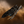 Archon