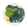 United Neopian Federation